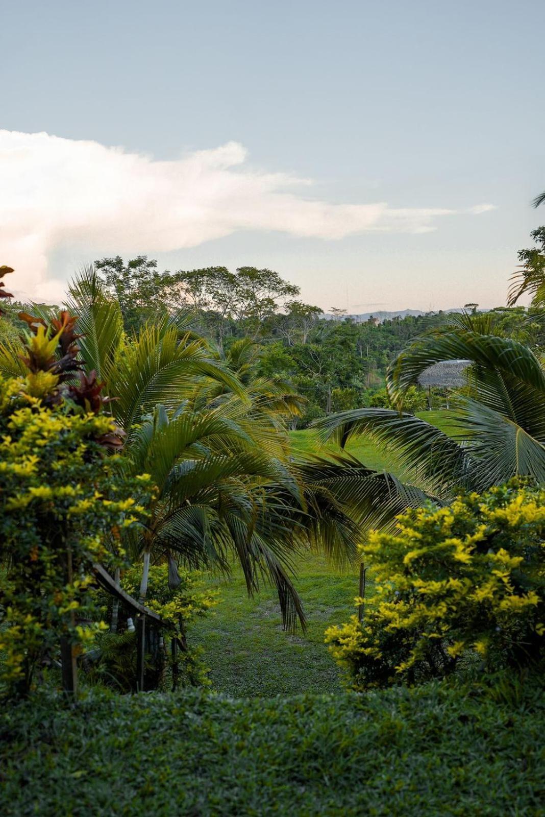 Choclino Ecolodge -Bungalows Tarapoto Buitenkant foto