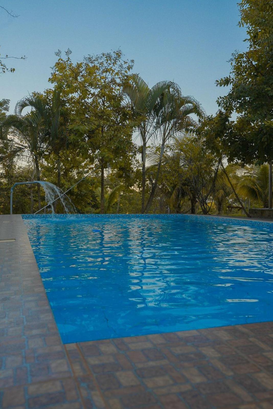 Choclino Ecolodge -Bungalows Tarapoto Buitenkant foto